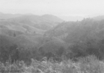 Burmese landscape, 1945; photo taken by a member of US 5332nd Brigade (Provisional)