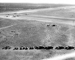 With trucks lined up along the airstrip, CG-4A gliders land in groups of three at a glider training airstrip in Texas, 1943.