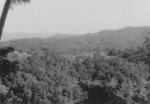 Burmese landscape, 1945; photo taken by a member of US 5332nd Brigade (Provisional)