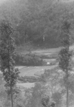 US 5332nd Brigade (Provisional) mule park area, Burma, 1945, photo 1 of 2