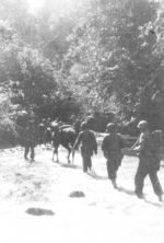Members of US 5332nd Brigade (Provisional) marching through a stream, Burma, 17 Jan 1945