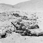 Sikh troops training with Bren guns and 2-inch mortar, western Egypt, 6 Aug 1941