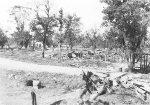 Landscape outside of Myitkyina, Burma, 17 Dec 1944, photo 1 of 2; photo taken by photographer attached to US 5332nd Brigade (Provisional)