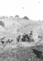 Men of US 5332nd Brigade (Provisional) with pack mules in hills east of Mong Wi, Shan, Burma, Jan 1945