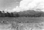 View near Camp Landis, northern Burma, Dec 1944; photo taken by personnel of US 5332nd Brigade (Provisional)