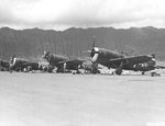 P-47 Thunderbolt aircraft of the 318th Fighter Group lined up for an inspection at Bellows Field, Oahu, US Territory of Hawaii, 15 May 1944. Photo 8 of 8.