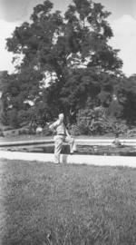 Botanical gardens, Fiji, 1942-1944