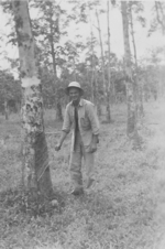 US serviceman, Fiji, 1942-1944