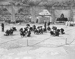 United States Navy sailors constructing submarine netting from steel cables, Tiburon Naval Net Depot, Tiburon, California, United States, Apr 1941.