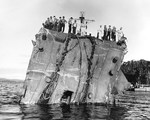 Following a torpedo hit to USS Honolulu’s bow on 13 Jul 1943 in the Battle of Kolombangara, the leading 36-feet of the bow structure collapsed to hang straight down. Photo taken at Tulagi. Photo 2 of 2.