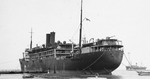 Port quarter view of the passenger-cargo ship SS Tilawa in port, 1930s, location unknown.