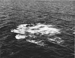 US Navy pilot Lt (jg) C. Clifton Francom unsuccessfully testing TBM Avenger torpedo bomber with experimental wing mounted radome aboard Ticonderoga, 4 Jul 1944, photo 5 of 5