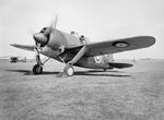Buffalo Mark I fighter preparing for flight, Aug 1940