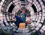 American women working in the interior of the tail section of a B-17 Flying Fortress bomber at the Douglas Aircraft Company plant, Long Beach, California, United States, Oct 1942