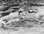 Wreck of two G4M bombers at Lae, New Guinea, 1943
