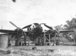 Ground crew members of the USAAF 459th Fighter Squadron working on a P-38 Lightning aircraft, Chittagong, India, Jan 1945