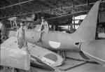 Corporal Ralph Hayden and Leading Aircraftman Harry Pearce of No. 80 Squadron RAF working on F1M (foreground) and N1K (background) aircraft, Surabaya, Java, Dutch East Indies, Jan 1946