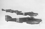 SM.79 bombers of 193rd Squadron, 30th Wing, 87th Group, Regia Aeronautica (Italian Air Force) over North Africa, 1940 to 1942, photo 1 of 2