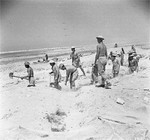 British troops digging defensive trenches near El Alamein, Egypt, 4 Jul 1942