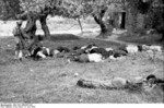 Killed Greek civilians in Kondomari, Crete, Greece, 2 Jun 1941