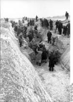 German Volkssturm soldiers digging anti-tank ditches outside Berlin, Germany, Feb-Mar 1945