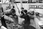 Crew of HMS Dianthus loading a Mk VII depth charge into a Mk IV depth charge thrower, 14 Aug 1942