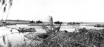 [Photo] Destroyed tanks of Japanese 1st Independent Tank Company at the ...