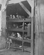 Inhumane conditions at Buchenwald, 16 Apr 1945, photo 1 of 2