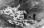Two Germans ensuring that this group of massacred Ukrainian Jews were indeed all dead, near Mizocz, Ukraine, Oct 1942
