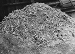 A pile of human remains at Buchenwald Concentration Camp, near Weimar, Germany, Apr 1945