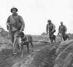 Members of the US Marine Corps Dog platoon moving up to the front lines of Iwo Jima, Japan, circa Feb-Mar 1945
