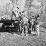 Men loading cut timber onto a truck, Jerome War Relocation Center, Arkansas, United States, 18 Nov 1942, photo 2 of 3