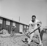 Men digging drainage ditches between barracks buildings, Jerome War Relocation Center, Arkansas, United States, 17 Nov 1942