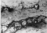 Exhumation of bodies of Polish officers, Katyn, Russia, 1943