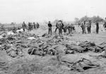 Remains of killed American soldiers gathered in a field, Normandy, France, early Jun 1944