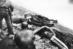 Dead American soldiers of 3rd Battalion, 16th Infantry Regiment, 1st Infantry Division on Omaha Beach in Normandy, 6 Jun 1944