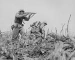 A Marine of the US 1st Marines Division pointed his Thompson submachine gun at a Japanese sniper, Okinawa, Japan, Apr-Jun 1945