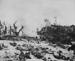 Men of the US 1st Marine Division fighting just beyond White Beach, Peleliu, 15 Sep 1944, photo 1 of 2