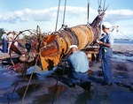 Japanese Type A-class midget submarine being recovered near the entrance to Pearl Harbor, Hawaii, United States, circa Jul 1960; its torpedoes had not been fired