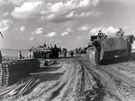 A column of Canadian Alligator amphibious vehicles passing 