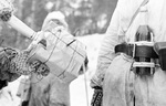 Finnish satchel charge (in hand) and Molotov cocktail (on belt), 1939-1940
