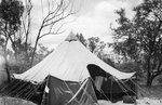 Tent for USAAF 3rd Bomb Group personnel, Charters Towers, Australia, early 1942
