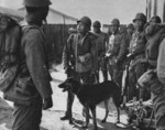 Japanese soldiers with war dog in northern China, 1937