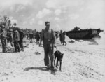 A war dog with its US Marine handler, Guam, 1944