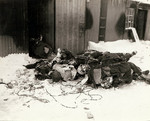 Remains of German soldiers, France, circa late 1944