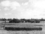 A depot of jerrican fuel containers awaiting loading onto US Army 