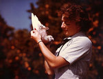 Carrier pigeon trainer WAVES Specialist 2nd Class Marcelle Whiteman holding a carrier pigeon, Naval Air Station, Santa Ana, California, United States, June 1945
