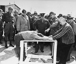 Survivors of Ohrdruf Concentration Camp demonstrating a method of torture they were subjected, Thuringia, Germany, 12 Apr 1945; Alois Liethe (mustached) was interpretor to Eisenhower