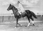 George Patton riding the steeplechase horse Wooltex, 1914