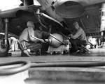 Crew aboard Enterprise loaded a 500 lb demolition bomb on a SBD scout bomber for strike on Guadalcanal and Tulagi, 7 Aug 1942
